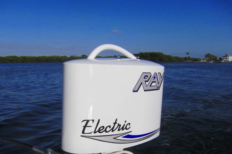 Ray Electric Outboards motor